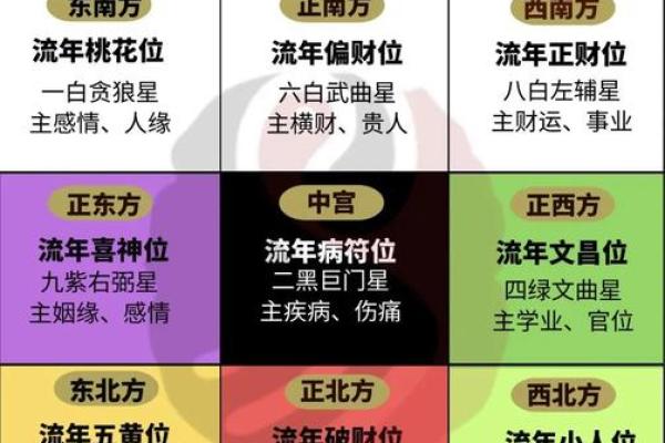 生肖命理揭秘：办公室风水布局，打造你的财运旺地