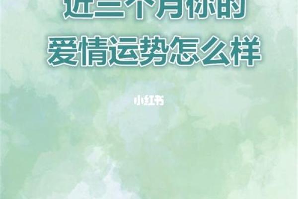 今日运势测试：开启一天的幸运之门