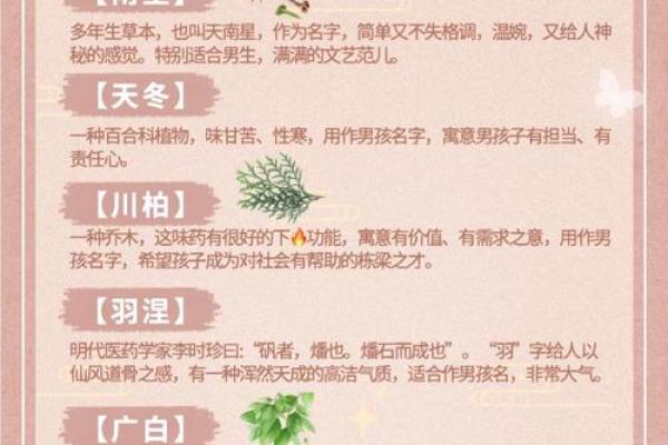 滢字取名灵感：经典与现代的完美融吿