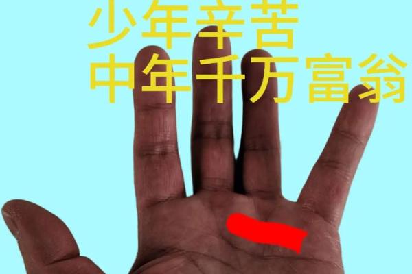 平原丘在手，富贵满堂来，手相大师教你识别财运旺相！