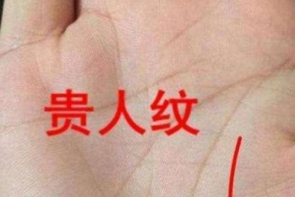 一本在手，财运亨通：高飞手相宝典大公开