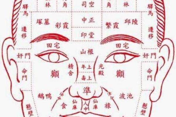 额头饱满圆润面相解析：富贵吉祥的征兆