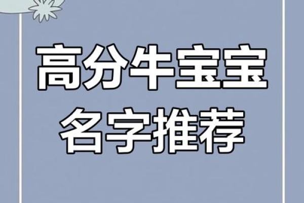 火焰精灵，取名秘籍