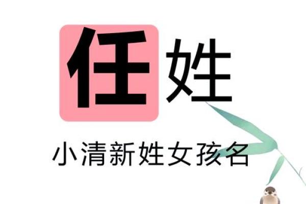任氏宝宝名字精选