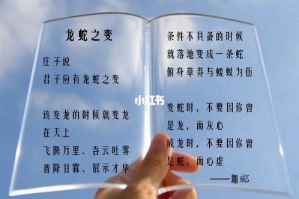 破解命运之谜：揭秘盲派命理的逆势之道