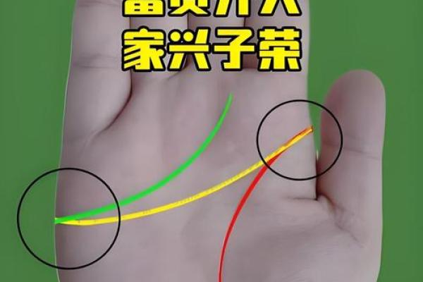 手相揭秘：看准婚姻吉凶，幸福一生不是梦！