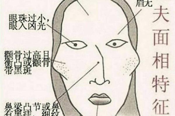 薄唇上扬，命运多舛：揭秘上嘴唇薄的面相奥秘