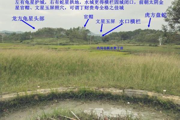 揭秘耕地风水秘籍：如何布局助丰收，打造风水宝地