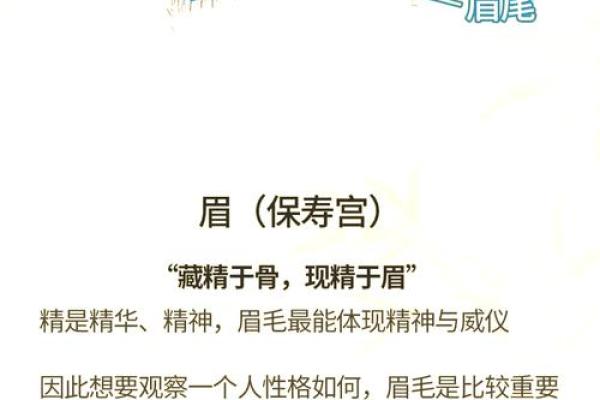 一眼识人：揭秘面相相貌的神奇魅力