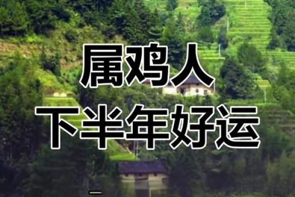 2016鸡年每月运势揭秘：运势高峰期大揭秘