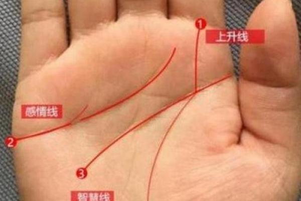 双手横纹大揭秘：手相运势全解析