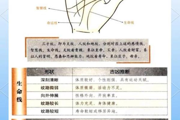 双手横纹大揭秘：手相运势全解析