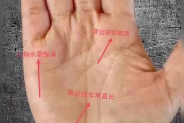 水润财运，木旺事业：手相揭秘金木水火土运势