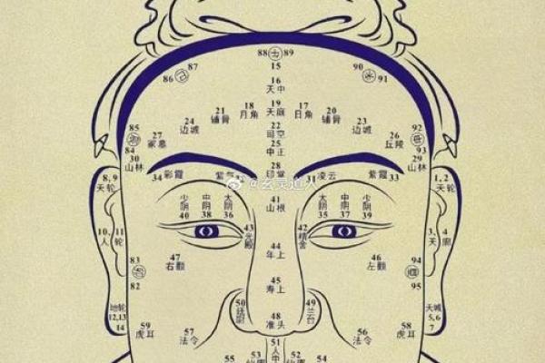 鹰眼狼嘴面相解析：洞察人心之秘
