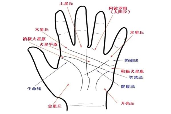 手相宝典：男士手相图解大全深度解析