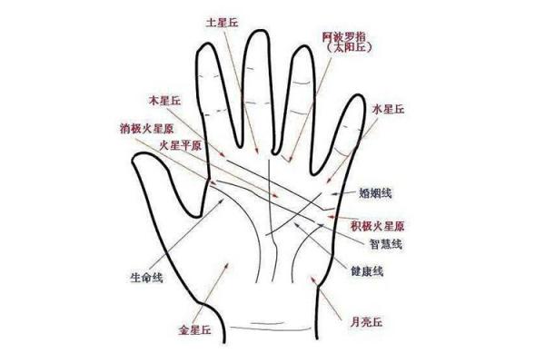 手相宝典：男士手相图解大全深度解析