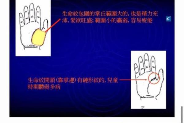手中藏乾坤：手相揭秘，你的运势早知道