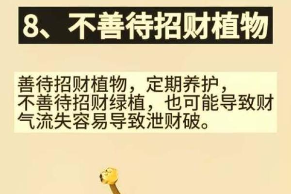 独家揭秘！家居风水布局，让你的钱包鼓起来！