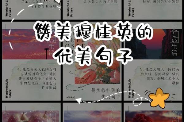 夏菲：阳光明媚，智慧与美丽并存的璀璨星辰