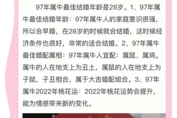 属牛人姻缘美满：揭秘牛年婚姻感情大吉大利
