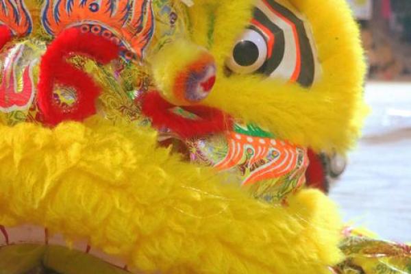 香港春节习俗，舞狮贺岁迎新年的喜庆氛围