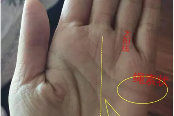 左手相术揭秘：识人辨性，一招定乾坤
