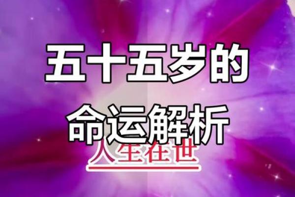 命理大师亲授：解码人生轨迹，把握命运航向