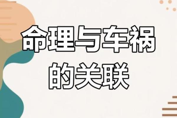 命理大师亲授：解码人生轨迹，把握命运航向