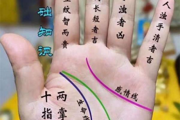 手相月丘解读：掌握幸福财富的关键密码