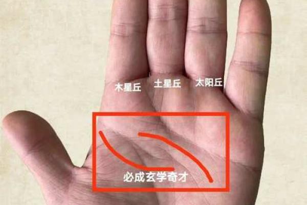 手相月丘解读：掌握幸福财富的关键密码