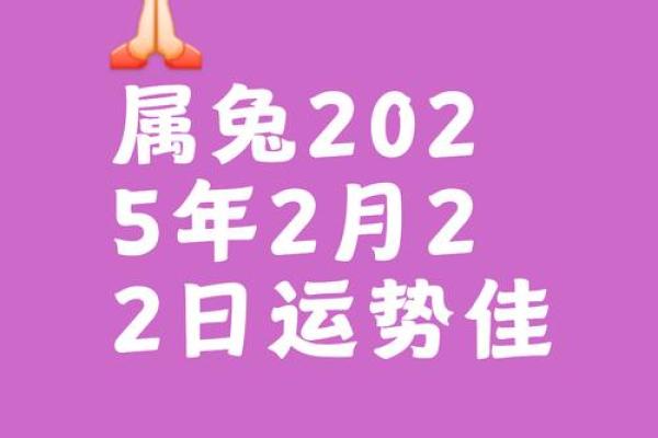 属兔人今日运势大揭秘