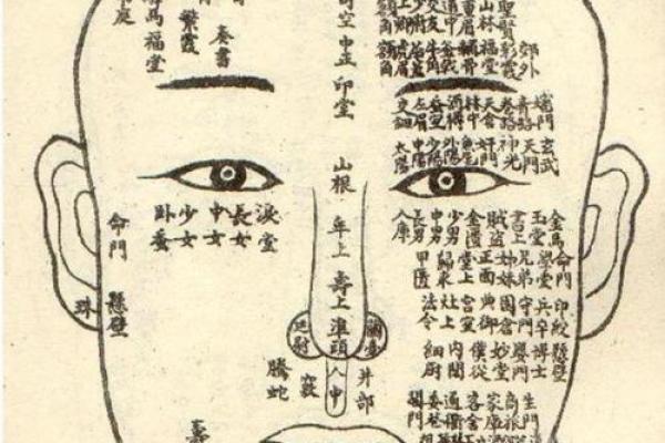 眉目传情，面相揭秘：祖传秘籍中的神秘解读