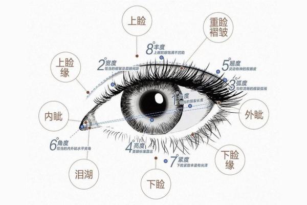 神秘眼神，洞悉人心：面相揭秘！