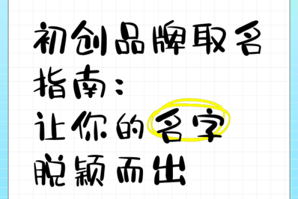 打造有创意的财务公司名字，让品牌脱颖而出