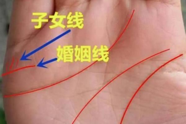 手相揭秘：子女线的秘密，看你的孩子未来多优秀