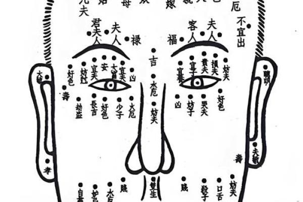 五官运势图：揭秘你的五官运势，开启转运之旅