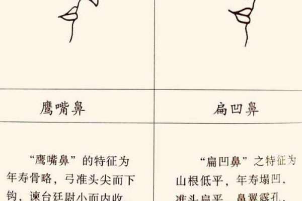 五官运势图：揭秘你的五官运势，开启转运之旅