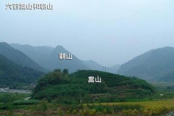 驾校风水宝地，财运滚滚，学员络绎不绝！