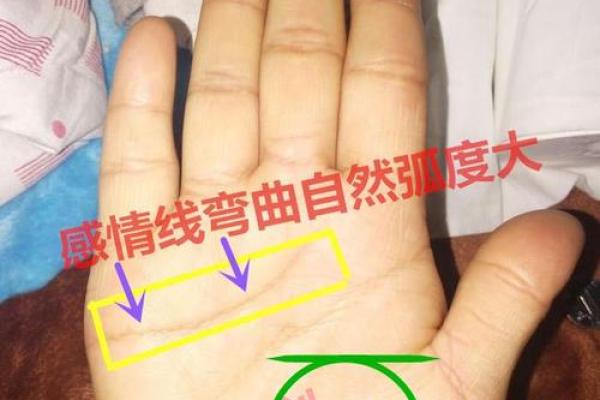 手中桃花现，运势大逆袭：揭秘桃花手相的神奇魅力