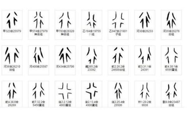 路字五行属什么的深度分析