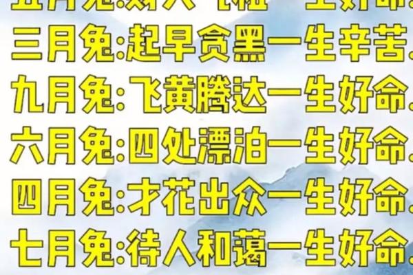 属兔住宅风水：打造温馨和谐，招财进宝的吉祥家园