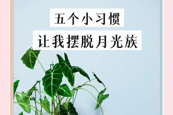 命理小康教你轻松理财，告别月光族，迈向富裕人生！