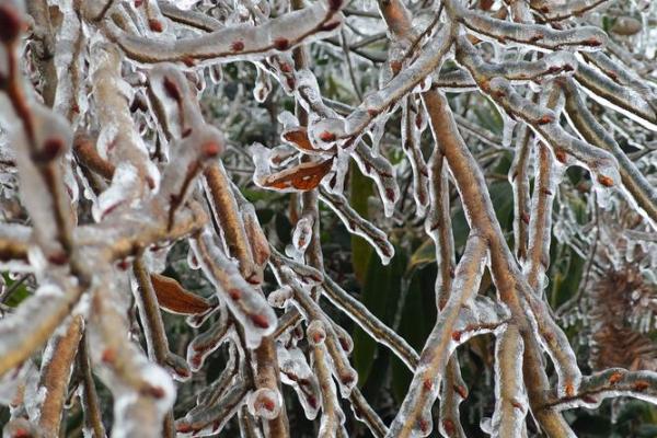 瑞雪兆丰年，春节习俗闹翻天