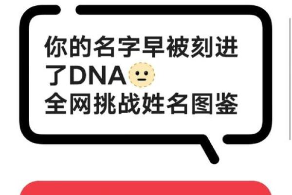 名字里的秘密：揭秘姓名背后的寓意
