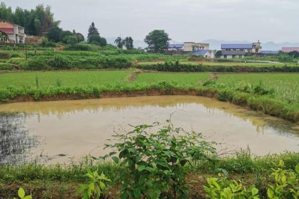 农村住宅门前鱼塘，财运滚滚旺家园