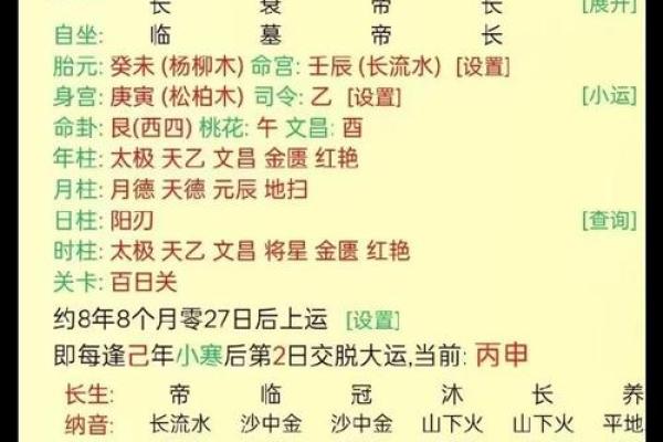 揭秘地支中藏丁火的秘密