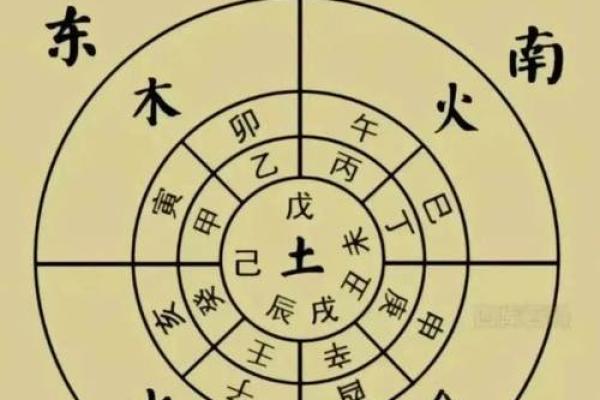 探索肖背后的天干地支奥秘