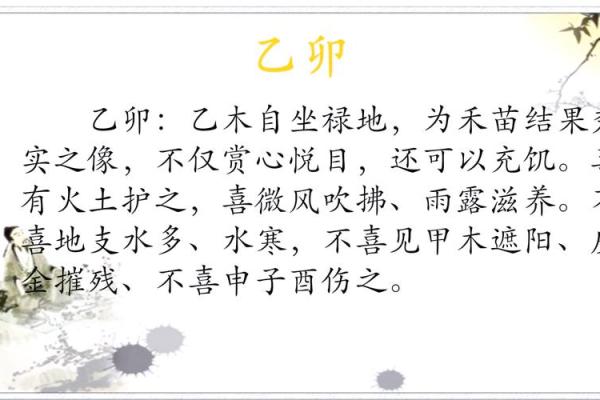 了解禾字五行属性对命理的影响