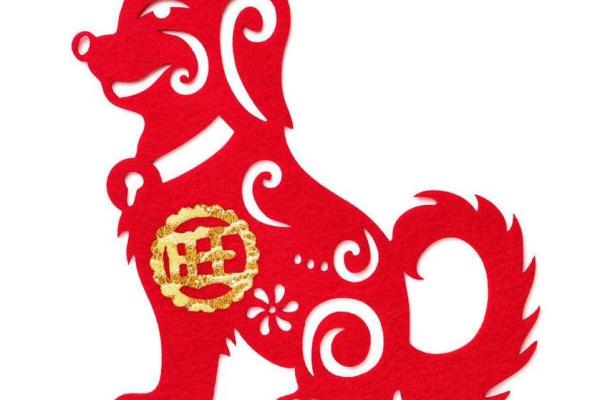 灵动招财龟开光，财运亨通好生活