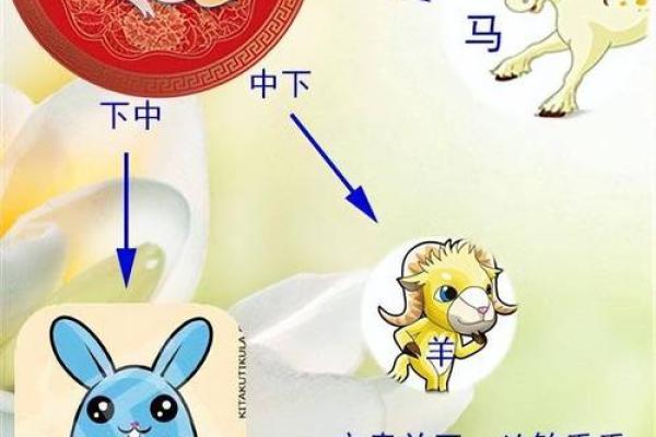 探索十二地支属相与性格命运的关系